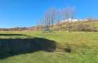 Teren intravilan 2500 mp \Sibiu \Sura Mare - 5