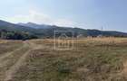 Teren de vanzare în zona turistica Sambata de Sus Jud Brasov - 6