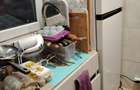TOMIS NORD | CIRESICA | 2 CAMERE - 7