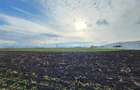 Vanzare Teren pretabil constructie hale, 28.100 mp, Halchiu - 6