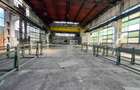Hală industrială de închiriat, 1.000 mp + teren 5.000 mp - 9