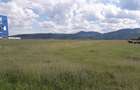 Teren intravilan 8900 mp,Dumbrava Rosiejud Neamt - 6