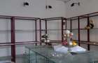 Spatiu comercial strada Horea