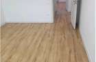 Apartament 2 camere Trocadero - 4