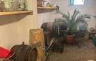 RECO Casa 5 camere zona Oncea - 4