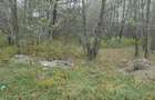 Teren intravilan - 2.740 mp, Predelut - 3
