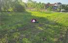 Teren 5600 mp Snagov Lac - 4
