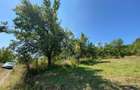 Teren intravilan 1300 mp-Viile cu Pomi-Unirea-Exclusiv - 4