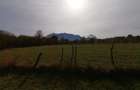 Teren in Sohodol-Bran - 4