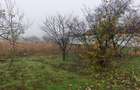 Teren intravilan 12.511 mp | Potoceni – Mărăcineni | Ideal pentru dezvoltare rez - 6
