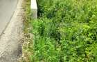 Teren zona de munte 1800 mp, cu apa de izvor, la Somesu Rece - 3