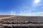 Vanzare I Teren I Suceava/Stroiesti I 100 ARI 2999 Euro/Ar - 10