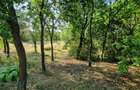 Casa Pensiune in Viile Satu Mare teren 1,63 ha, 11 camere, 10 bai - 22