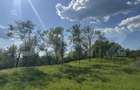 Teren intravilan de vanzare, 15080 mp, zona Tătărăști - 2