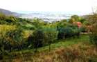 Teren intravilan de 1400 mp in Suncuius, de vanzare, Bihor - 1