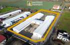 HALA INDUSTRIALA DE VANZARE | PECICA – ARAD - 2