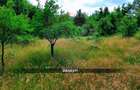 Teren intravilan 6115mp | Danesti, Maramures | Oportunitate investitie - 2