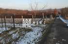 Teren intravilan 1079 mp zona Tropinii Noi Sibiu - 3