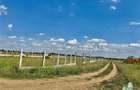 Teren 64 de parcele de vanzare /  Teren de investitie / Frumusani / Calarasi - 1