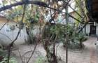 Vila Ultracentral-Gh Doja - 10