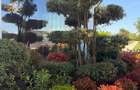 Apartament 3 camere – West Avenue Residence Ansamblu Privat - 13