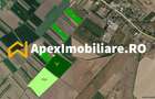 Terenuri de vanzare Intravilane Tartasesti | ApexImobiliare.ro - 1