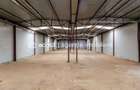 Hale depozitare/producție 2.000 mp si 10.000 mp teren în Pecica - 5