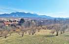 Comision 0%! Teren superb de 17000mp la 5 min de Castelul Bran, 13 eur - 12