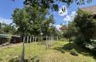 Casă individuală de vânzare în Turnișor | Curte superbă 585 mp - 1