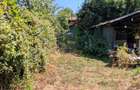 Tocile, 1.093 mp - Teren intravilan cu livadă, cabană + rulotă si ... o poveste! - 11