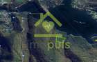🗺️ Teren împădurit 20.720 mp (2,07 ha) – malul Lacului Cinciș ✨ - 6