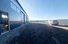 Hala industriala noua de inchiriat, Les, Bihor - 3