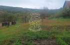 2 Case 100 mp -teren 3576mp-livada-garaj-Enciu 37 km de Bistrita - 7
