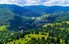 Natură— 18.900 mp în Săcele, cu râu și priveliște montană - 2