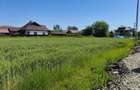 Teren 10.294 mp de vânzare Târgu Jiu | Intravilan + Extravilan | Utilități - 6