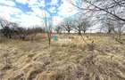 Teren intravilan 4800 mp, investitie,  utilitati complete, Dancas Miroslava - 4