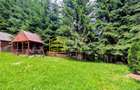 Cabană – Mureș – Sălard – Zona Pensiunea Denisa - 16