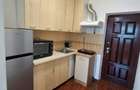 Apartament cu 1 camera- ETAJ  1- Iulius Mall - 5