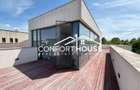 Vila moderna, P+2, mobilat, IANCU NICOLAE - 48