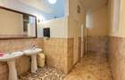 Spații de Inchiriat - Proprietate cu funcțiuni mixte – Str. Căplenilor Carei - 17