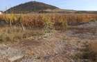 Teren 4606 mp-ideal investitie-Sarata - 1