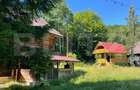 Cabana cu parau si brazi maturi, 1400mp, Valea Fericirii - 4