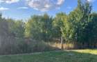 Darova, Teren Intravilan 1060 Mp., Str. Principala - 6