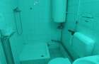 Piata Victoriei,3 camere ,etaj1/P+1,ideal birouri,cabinet medical sau rezidenta - 7
