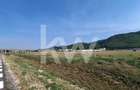 Teren Intravilan i Industrial I 2.000 mp – Brasov, Str Carierei - 3