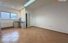 Comision 0% Spatiu Birouri de inchiriat in zona Balcescu  - 6