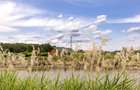 Afacere multifuncțională cu venituri imediate si potențial de extindere - 16