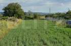 Teren intravilan de vanzare, 1.757 mp, zona Aiud - 2