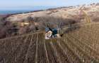 Vita-de-vie Premium  teren de 6800 mp în Covăsinț - 6