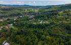 Teren 3.886 mp, Breaza - Podu Vadului, 30 m deschidere la asfalt - 7